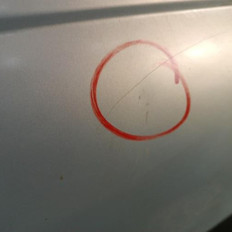 Porte arriere droit RENAULT SCENIC 1
