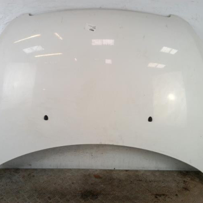 Capot PEUGEOT 307 Capot PEUGEOT 307