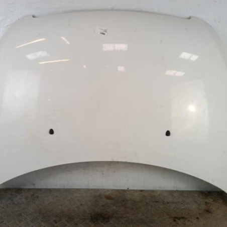 Capot PEUGEOT 307 Photo n°1