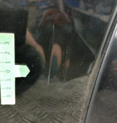 Porte arriere gauche LAND ROVER FREELANDER 1 Photo n°3