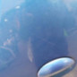 Porte arriere gauche CITROEN C1 1