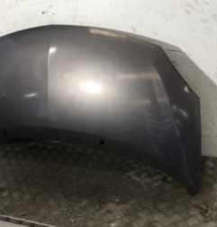 Capot RENAULT TWINGO 2