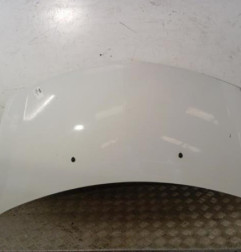 Capot RENAULT CLIO 3 Photo n°1