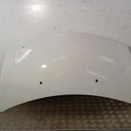 Capot RENAULT CLIO 3 Photo n°1