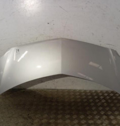 Capot RENAULT GRAND MODUS Photo n°1