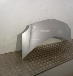 Capot RENAULT GRAND MODUS Photo n°3