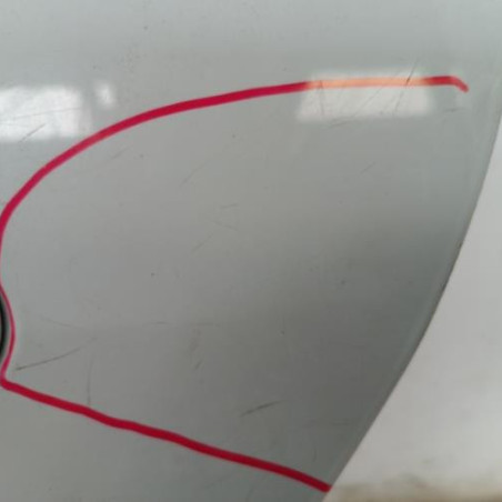 Porte arriere gauche RENAULT SCENIC 2