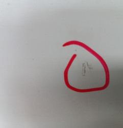 Porte arriere gauche RENAULT SCENIC 2 Photo n°3