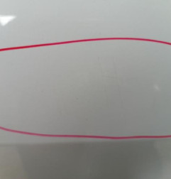 Porte arriere gauche RENAULT SCENIC 2 Photo n°4