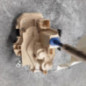 Serrure avant droit FIAT PANDA 3
