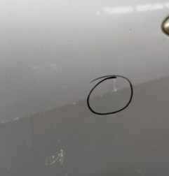 Porte avant gauche RENAULT MEGANE 2 Photo n°5