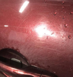Porte avant gauche RENAULT SCENIC 3 Photo n°4