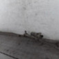 Moteur essuie glace avant PEUGEOT 308 1 SW