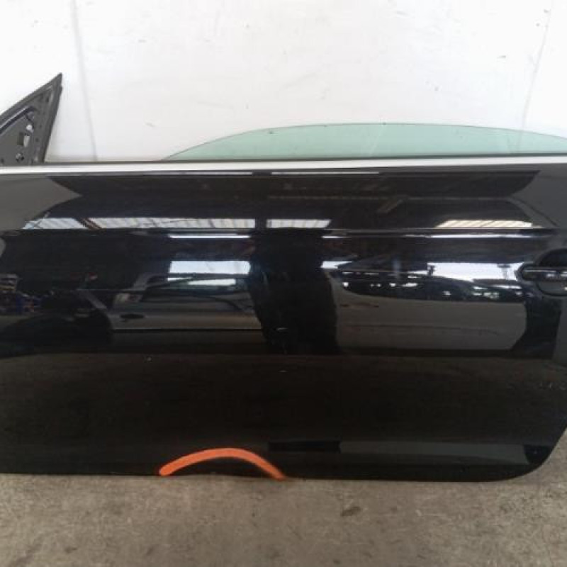 Porte avant gauche VOLKSWAGEN EOS
