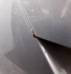 Malle/Hayon arriere FORD FOCUS 3