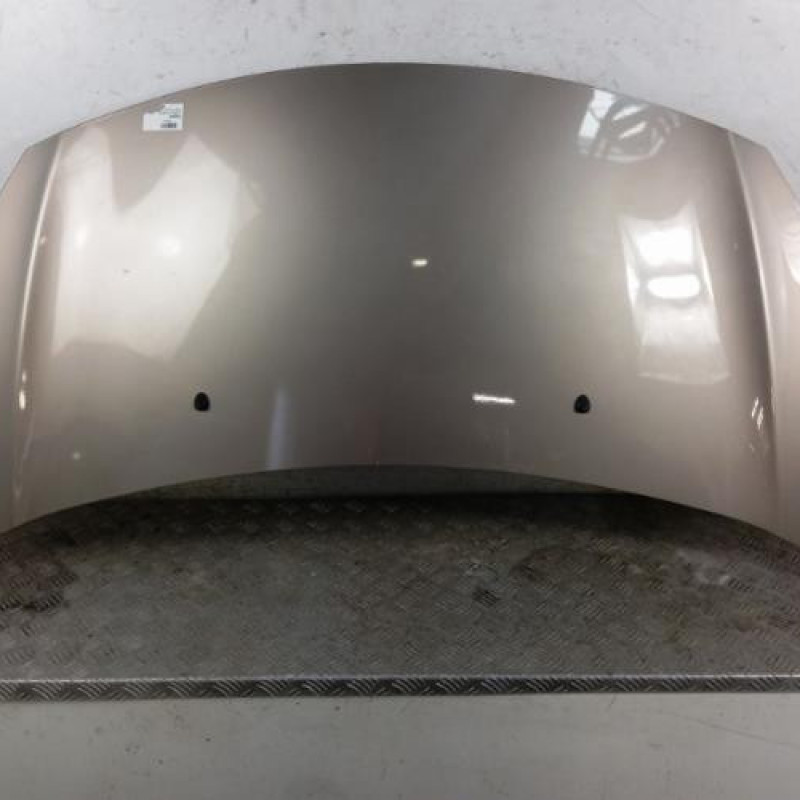 Capot CITROEN DS3