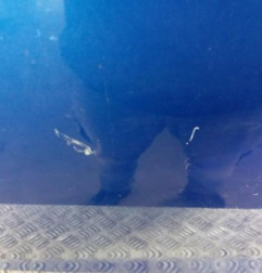 Porte avant gauche SUZUKI SPLASH