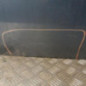 Porte avant gauche RENAULT SCENIC 2