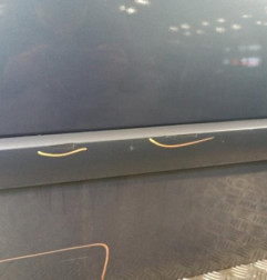 Porte avant gauche RENAULT SCENIC 2 Photo n°5