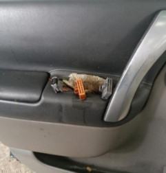 Porte avant gauche RENAULT SCENIC 2 Photo n°9