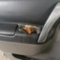 Porte avant gauche RENAULT SCENIC 2
