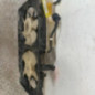 Moto ventilateur radiateur TOYOTA PRIUS 2