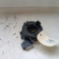 Contacteur tournant VOLKSWAGEN GOLF 5
