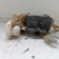 Serrure de porte de coffre droite CITROEN JUMPER 2