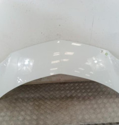 Capot RENAULT MODUS Photo n°1