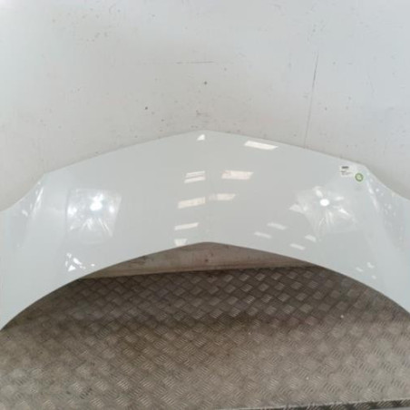 Capot RENAULT MODUS Photo n°1