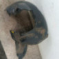 Pare boue avant gauche SEAT IBIZA 4