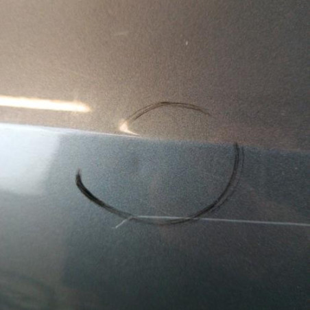 Porte arriere gauche VOLKSWAGEN POLO 5