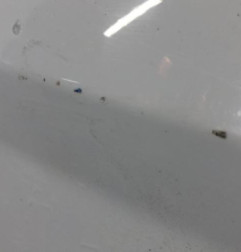 Porte avant droit FORD FIESTA 6 Photo n°4