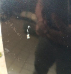 Porte avant droit KIA VENGA Photo n°3