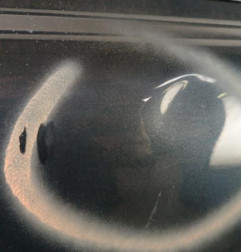 Porte avant gauche VOLVO C 30