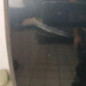 Porte avant gauche VOLVO C 30