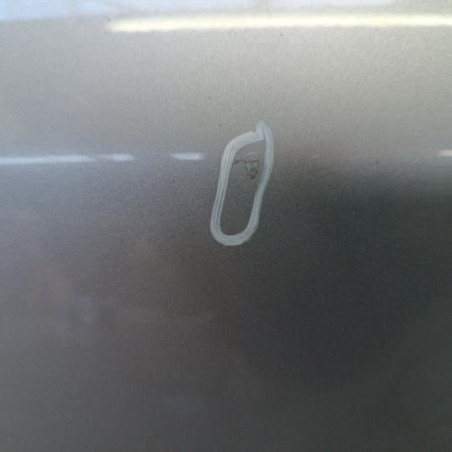 Porte arriere gauche NISSAN NOTE 1