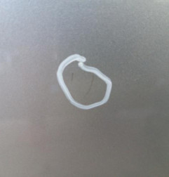 Porte arriere gauche NISSAN NOTE 1 Photo n°3