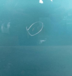 Porte avant gauche SUZUKI SPLASH
