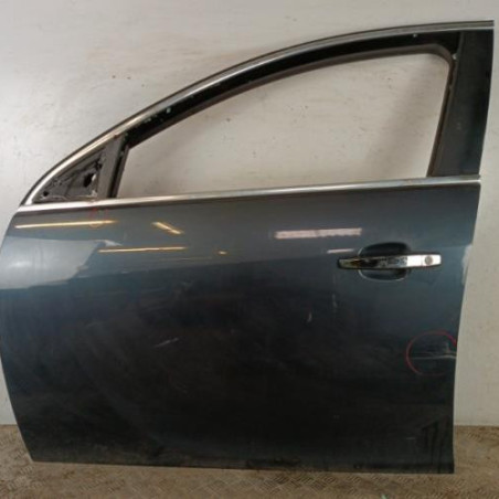Porte avant gauche OPEL INSIGNIA 1 Photo n°1