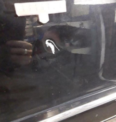 Porte arriere gauche MERCEDES CLASSE B 245