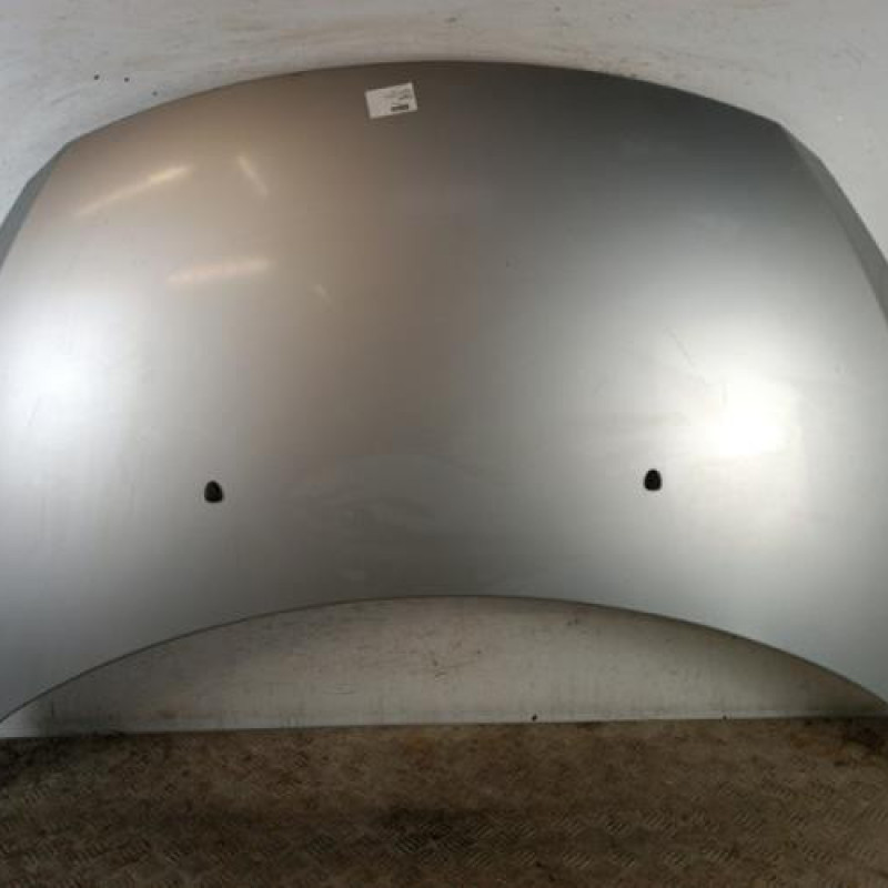 Capot PEUGEOT 307 Capot PEUGEOT 307