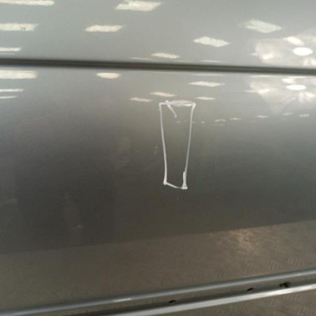 Porte avant gauche BMW SERIE 3 E46