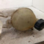 Vase d'expansion PEUGEOT 207