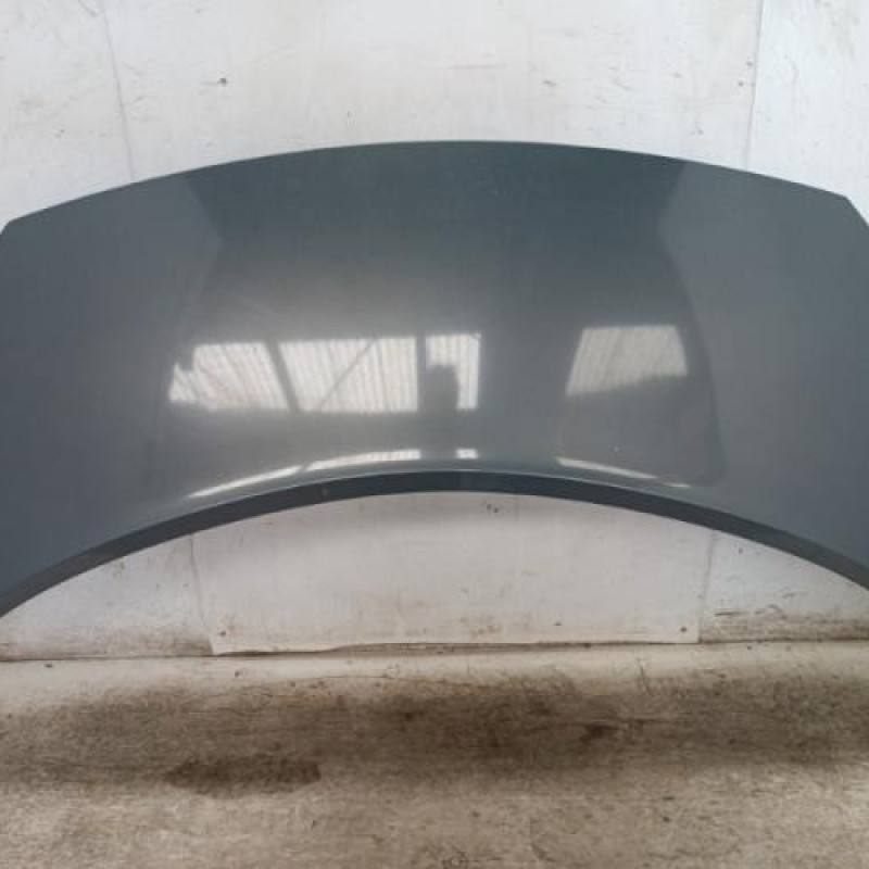 Capot RENAULT SCENIC 2 Capot RENAULT SCENIC 2