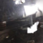 Porte avant gauche FORD FOCUS 2
