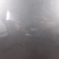 Porte arriere gauche CITROEN C5 2