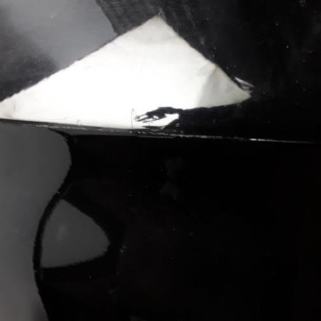 Porte avant gauche BMW X1 E84