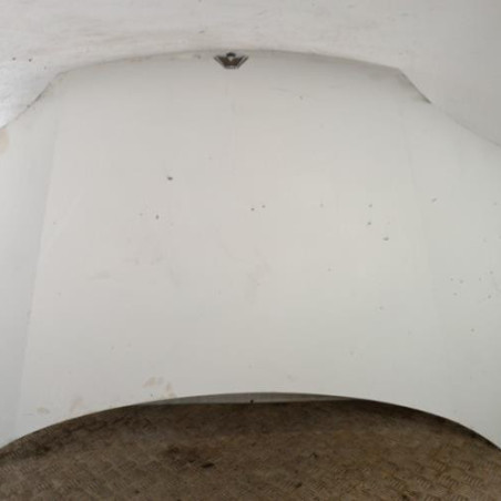 Capot RENAULT KANGOO 1 Photo n°1