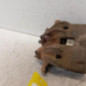 Etrier avant droit (freinage) CITROEN JUMPER 1